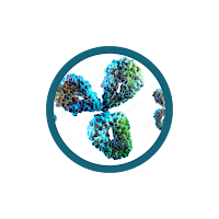 First in class human mAbs Icon