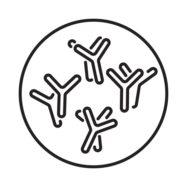 Superior Potency Fully Human mAbs